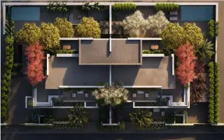 الصورة 4 من 12