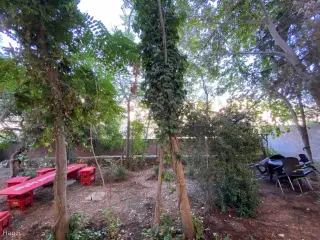 Photograph 2 of 12