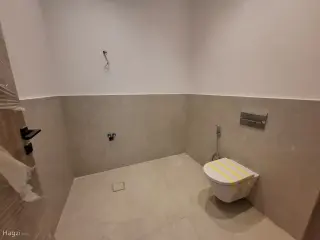 الصورة 4 من 12