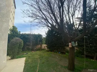 Photograph 8 of 12
