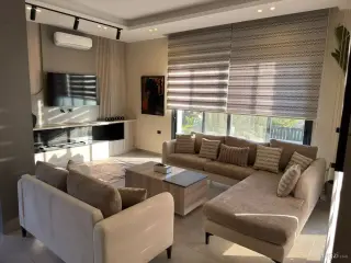 الصورة 11 من 12