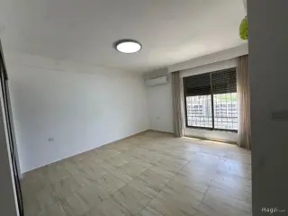 الصورة 12 من 12