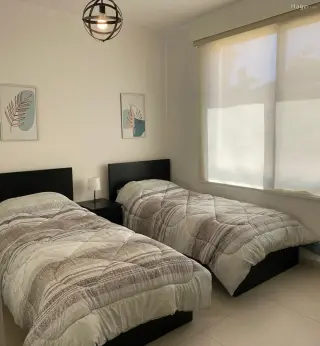 الصورة 6 من 12