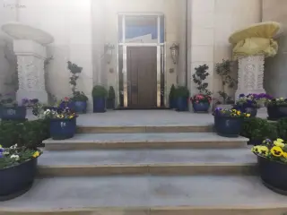 الصورة 2 من 12