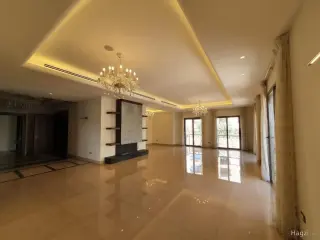 الصورة 8 من 12