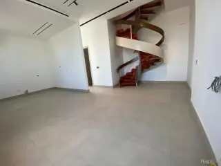 الصورة 12 من 12