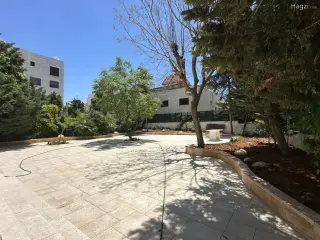Photograph 2 of 12