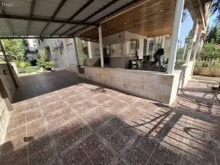 الصورة 11 من 12