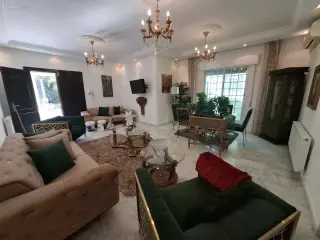 الصورة 12 من 12