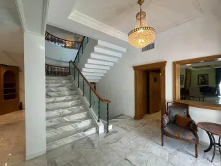 الصورة 12 من 12