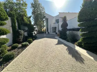 الصورة 1 من 12