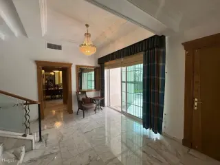 الصورة 11 من 12