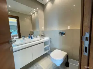 الصورة 10 من 10