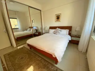 الصورة 1 من 12