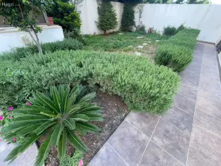 Photograph 9 of 9