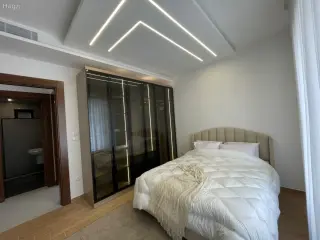 الصورة 8 من 11
