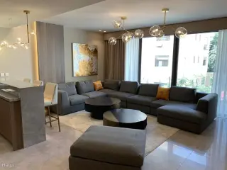 الصورة 12 من 12