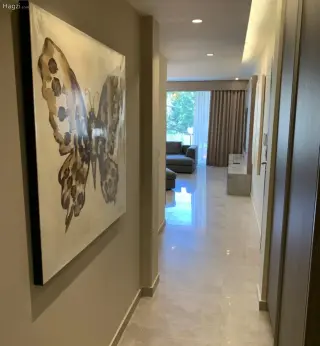 الصورة 7 من 12
