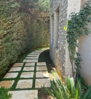 Photograph 7 of 12