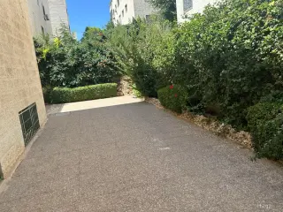الصورة 9 من 12
