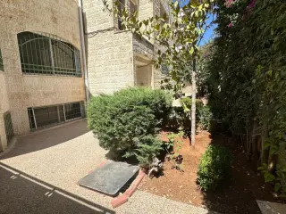الصورة 8 من 12