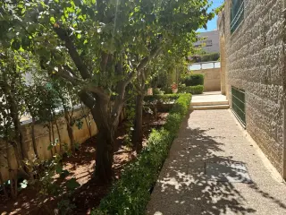 الصورة 12 من 12