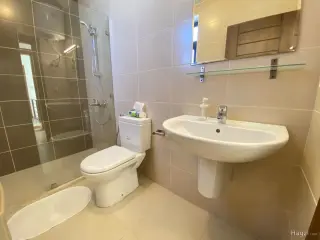 الصورة 2 من 12