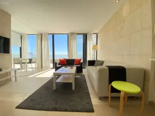 الصورة 4 من 12