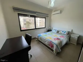 الصورة 8 من 9