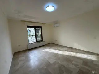 الصورة 7 من 12