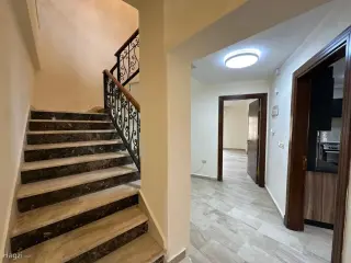 الصورة 8 من 12