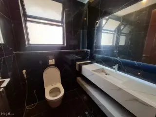 الصورة 4 من 12