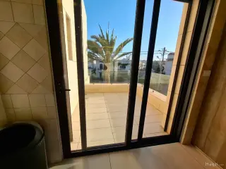 الصورة 8 من 12