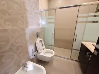الصورة 12 من 12