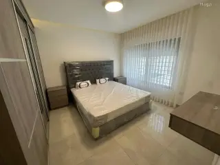 الصورة 12 من 12