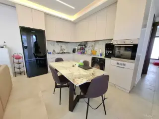 الصورة 5 من 11