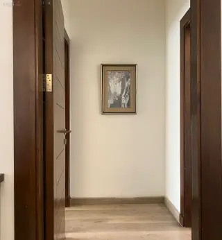 الصورة 11 من 12