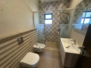 الصورة 7 من 12