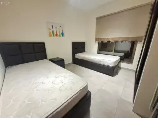 الصورة 4 من 7