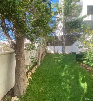 Photograph 7 of 7