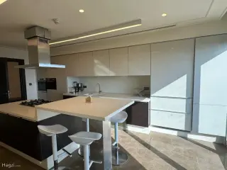 الصورة 9 من 12