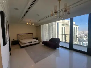الصورة 12 من 12