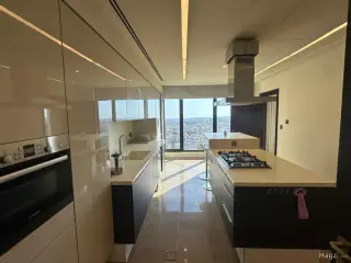 الصورة 7 من 12