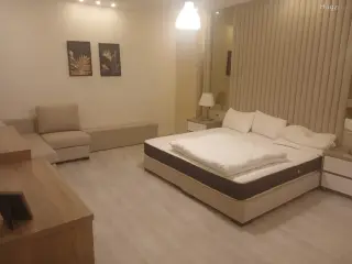 الصورة 6 من 12