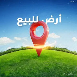 الصورة 4 من 4