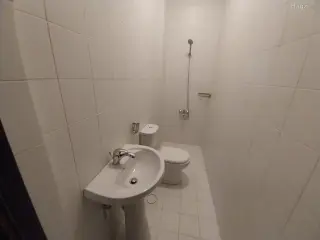 الصورة 9 من 12