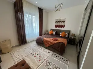 الصورة 1 من 12