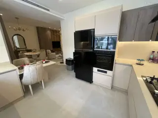 الصورة 12 من 12