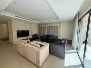 الصورة 10 من 12