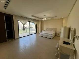الصورة 2 من 12